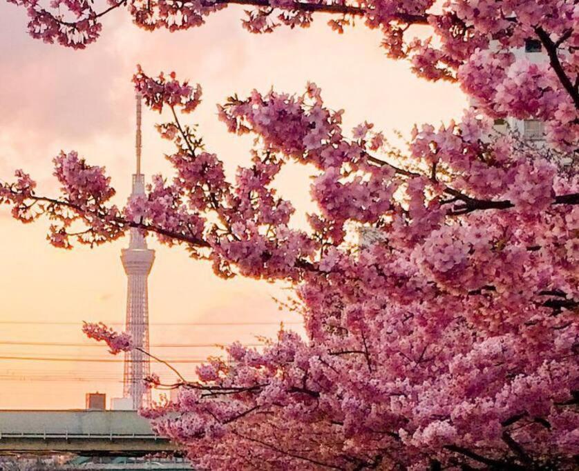 5Mins From Jr Kinshicho! Near Asakusa&Skytree! 東京都 外观 照片